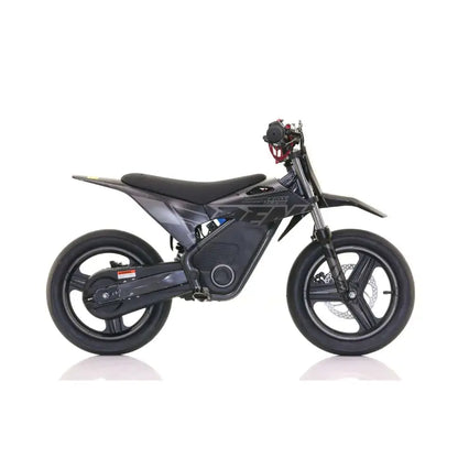 RFN WARRIOR SX E700 (BIG WHEEL)